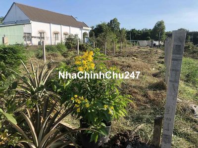 Chính chủ bán gấp nền đất thổ cư Cần Giuộc LA