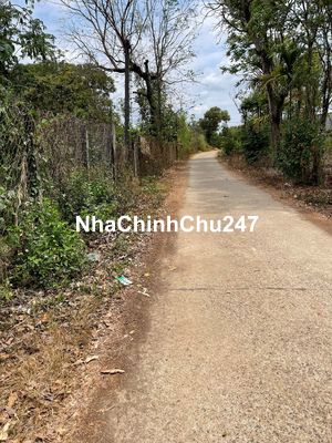 CHÍNH CHỦ BÁN GẤP LÔ ĐẤT SIÊU ĐẸP – NỞ HẬU PHONG THUỶ – CHỈ 500 TRIỆU