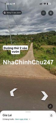 bán hơn 2ha vườn điều gần TL665 gần dân cư tiện canh tác