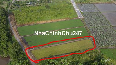 Chính chủ cần bán !