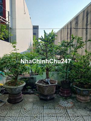 TÔI CHÍNH CHỦ CẦN BÁN LÔ ĐẤT DIỆP MINH CHÂU