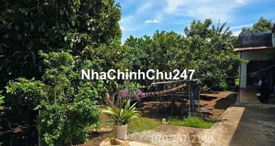 CHỦ CẦN BÁN LẠI NHÀ VƯỜN ‼️