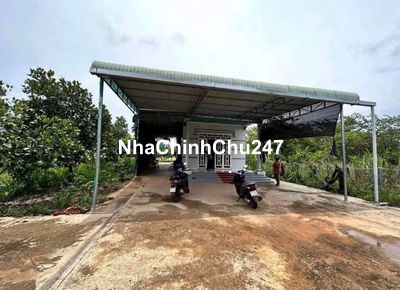 Chủ cần bán gấp căn nhà vườn hiện tại đang ở ngay Bình Dương