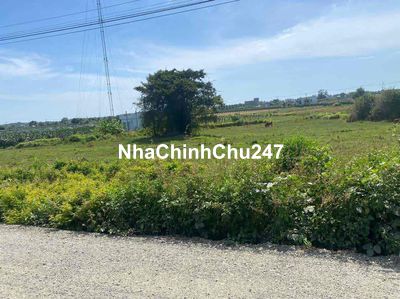 Chính Chủ - Đất ngộp bank cần bán gấp, 1.xty 2 sào 7 cln