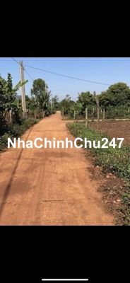 Đất Hẻm Đào Duy Từ - Biển Hồ full thổ cư chính chủ 3xxtr