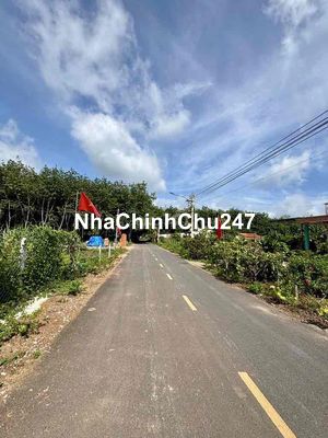 CHÍNH CHỦ CẦN BÁN LÔ ĐẤT MẶT TIỀN KINH DOANH