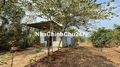 CHỦ KẸT TIỀN CẦN BÁN MẢNH ĐẤT VƯỜN