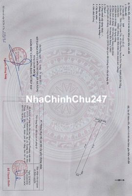 CHÍNH CHỦ BÁN 450M2 ĐẤT TRỒNG CÂY HÀNG NĂM trong khu dân cư. Giá 400tr