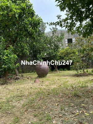 Chính chủ cần bán nhà vườn View sông Cái , đường 7m5 P Hoà Xuân ĐN 