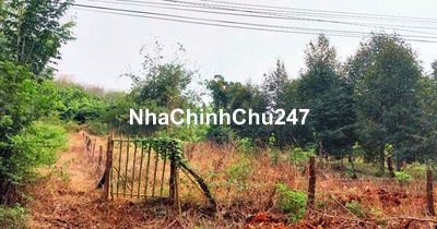Bình Phước - Chính chủ bán 500m2 mặt tiền nhựa (10x50)m, 100m2 đất ODT