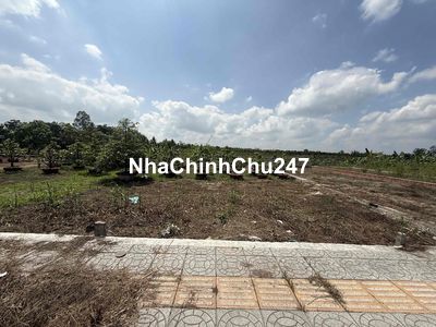 đất chính chủ sang tên trong ngày