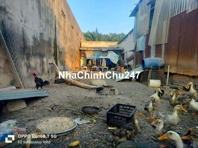 Chủ cần bán gấp