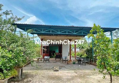 vợ bị ung thư chủ cần bán nhà vườn