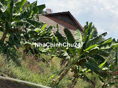 Đất gia đình chính chủ