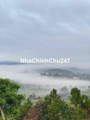 Chính Chủ Cần Bán 11 Lô Đất diện tích 450-750m2 thổ cư Sổ Riêng