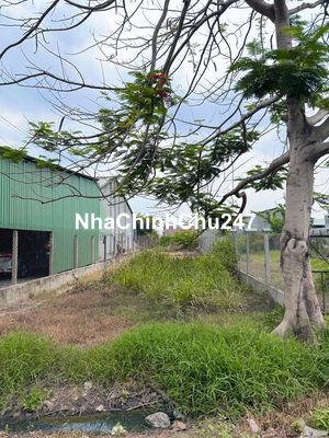CHỦ GỬI BÁN 295M2 THỔ GIÁ RẺ 850TR NGAY AN TỊNH TRẢNG BÀNG