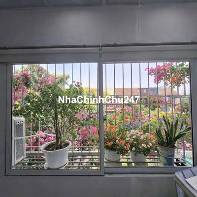 Chính chủ bán gấp căn Tập Thể Quỳnh Mai