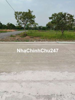 NỀN VỊ TRÍ ĐẸP - DIỆN TÍCH RỘNG - GIÁ CHÍNH CHỦ - SHR