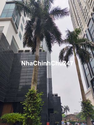 chinh chủ bán căn hộ cao cấp 3ng, 2vs, 112m, giác 10ty5
