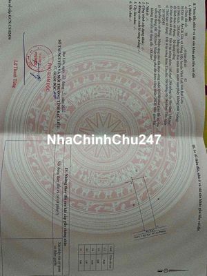 🆘Bán đất chính chủ đường XE HƠI Bạc Liêu-Dt 8x36m-Tiện xây dựng