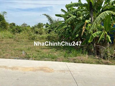 Chính chủ bán lô đất đường Lộc Bình, Lộc Giang, Đức Hoà, Long An. 