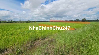 Chính chủ ngộp bank bán gấp đất Dương Minh Châu