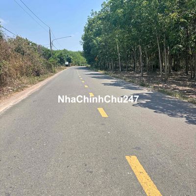 Chủ Gửi Bán Lô Đất Ngay Chợ An Linh Phú Giáo