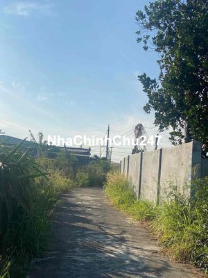Chính chủ bán đất nông nghiệp 300m2 thổ cư, đường xe hơi tới đất
