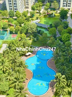 Căn hộ 3 phòng ngủ mua trực tiếp chủ đầu tư thanh toán theo tiến độ