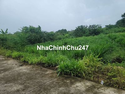 Chính chủ bán 10x30 tại Phường Tân Phú, ĐN
