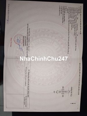 Chính chủ Bán Đất Đường Bê Tông 5m Gần Chợ Trường Học Full Thổ Cư