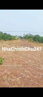 Chủ cắt lỗ 50%- 2,2 Sào Phủ Hồng Sông Ray