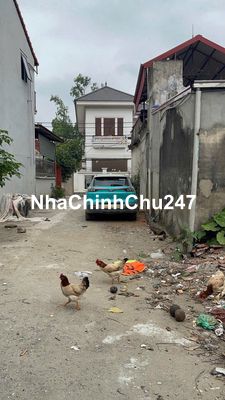 Chính chủ bán đất Khánh Vân, Khánh Hà, Thường Tín