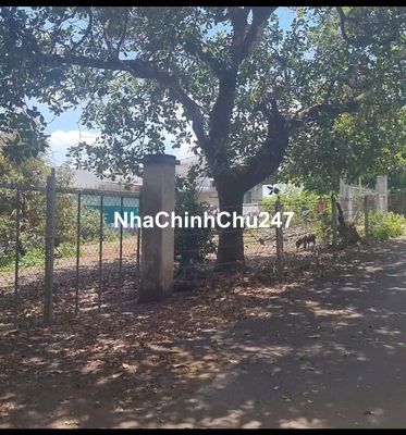 CHỦ NGỘP BÁN CĂN NHÀ VƯỜN