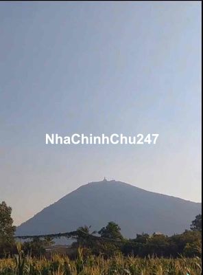 BÁN ĐẤT CHÍNH CHỦ VIEW NÚI BÀ, CÁCH DT785 50m NGAY CHỢ BÀU BẮC