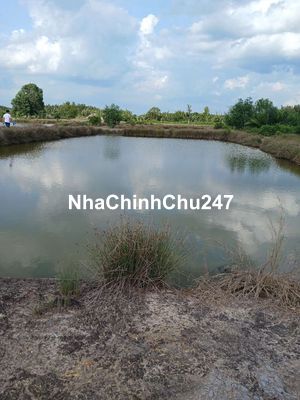 chủ cần bán