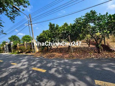 Chủ Cần Bán Lô Đất Mặt Tiền Đường Nhựa 8m Ở Bình Dương