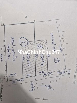 CHÍNH CHỦ _ BÁN ĐẤT BIỆT THỰ ĐI XUẤT CẢNH