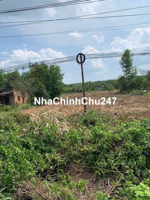 Bán Đất Chính Chủ Đường DT749A,Xã Minh Thạnh TP.HCM,Đất Đẹp Bán Gấp.