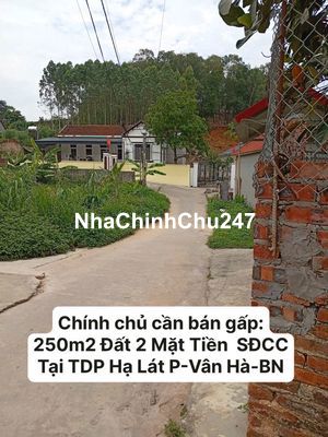 CC Bán Gấp Đất 2 Mặt Tiền Hiếm Có – 250m² Sổ Đỏ Chính Chủ Giá Cực Rẻ