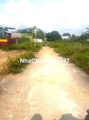 Chính chủ bán 303m2 đất đẹp tại Lập Trí, Kim Anh - Vị trí tiềm năng