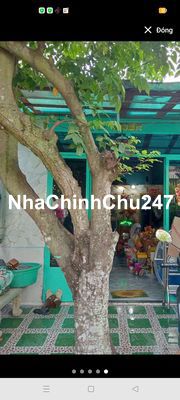 mình chính chủ cần bán gấp nhà 