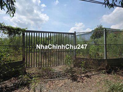 Bán đất Cần Giuộc chính chủ