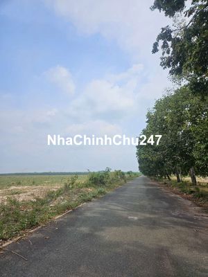 Chủ Cần Tiền Cần Bán Lô Góc TĐC Định Hiệp - Khu A - Ngay Vòng Xoay