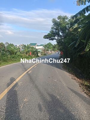 [CHÍNH CHỦ]Bán đất Thôn Túy Loan, xã Hòa Phong, 