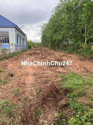 (Chính Chủ Bán) 3632m2 Đất Xã Minh Thạnh,TP.HCM- Mặt Tiền DT749A.