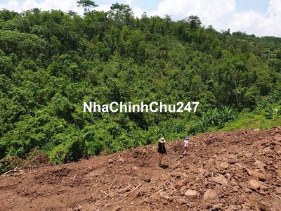 [CHÍNH CHỦ CẦN BÁN] MẢNH ĐẤT VƯỜN HƠN 4.200m² TẠI TP. LONG KHÁNH