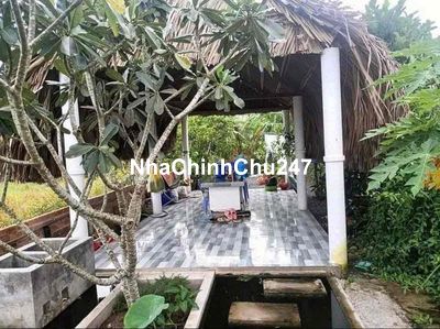 Chủ gửi cần bán gấp