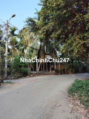 chủ gửi lô đất sổ riêng(dt 8.8x14) nhị bình