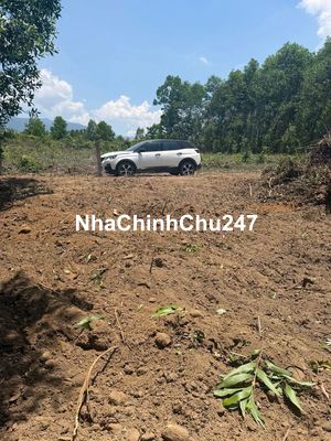 [CHÍNH CHỦ] Bán lô đất trồng cây thôn Hoà Phát, xã Hòa Phú giá rẻ